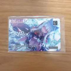 【未使用】SDVX／e-amusment pass 666 SDVX e-amusement pass 666 未使用