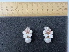 Item thumbnail for item 8dfd276e-9db9-490d-ba19-65bc43568829