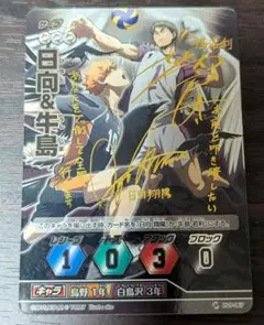 ハイキュー!!バボカ　日向＆影山　秘バボ　金箔押しサイン入り ハイキュー!!バボカ 日向＆影山 秘バボ 金箔押しサイン入り