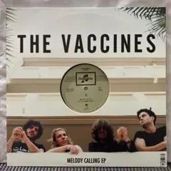 ★ The Vaccines  レコード  12"