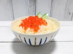 食品サンプル まいづる イクラご飯