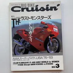 ビック・バイク・クルージンNo.3