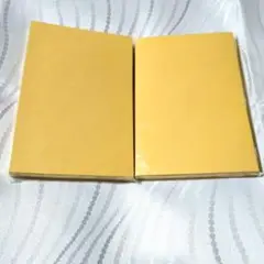 ライトベージュ？ ハガキsize 画用紙 　2個セット