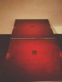 Item thumbnail for item 6ba53a1d-c59d-4d77-92cb-497326ada09c