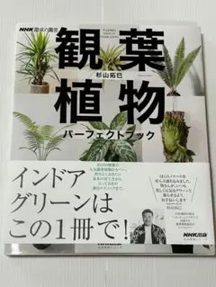 NHK趣味の園芸 観葉植物 パーフェクトブック　＝航空便・趣味の園芸