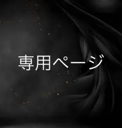 専用ページ
