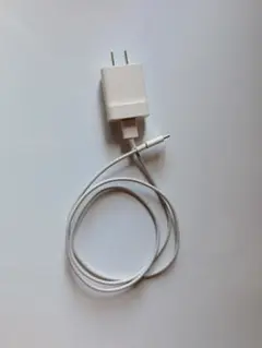 ホワイト USBタイプC 充電器とケーブル