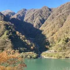 本日限定セール❤️新品未使用 正絹 名古屋帯 犬張子 お宝尽くし