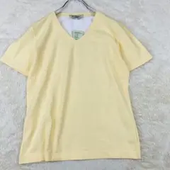 エディーバウアー イエロー Vネック Tシャツ 半袖 M コットン混 33-23