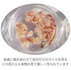 Item thumbnail for item 9a6cf053-7876-4470-bca2-9650781aa721