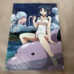 未使用　クリアファイル　うたわれるもの 二人の白皇　AQUAPLUS