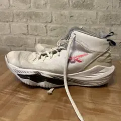 Item thumbnail for item d333b67b-57d8-4d4b-be04-23cfb814824c