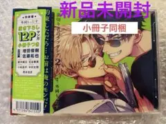 【新品・未開封】ドラマCD　外岡もったす　裏切り者のラブソング 2　特装盤
