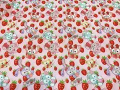 ダッフィー♥ステラルー♥リーナベル♥はぎれ♥約50✖️140♥ポリコットン