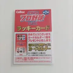 Calbee 2025 プロ野球チップス ラッキーカード
