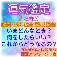 2名分 健康 仕事お金 恋愛家庭 総合 3年運気鑑定 一生運勢年表 メッセージ付
