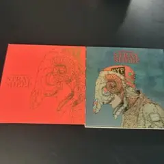 STRAY SHEEP （アートブック盤）