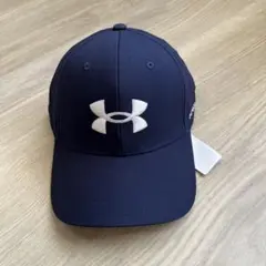 Item thumbnail for item 4e2b065a-4312-4040-bf76-c6d8bfe27c5f