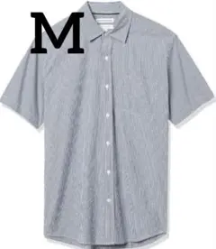Item thumbnail for item 17c05b85-4430-41f7-8786-fb3eb6d37cac