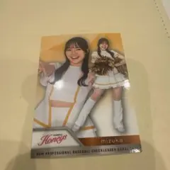 Item thumbnail for item fbf2f04a-590a-4a60-8861-4caf46eb4b71