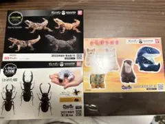 ガシャポン　シール　バンダイ　まちぼうけ　いきもの大図鑑