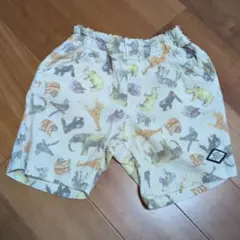 BREEZE 動物柄 半ズボン 100