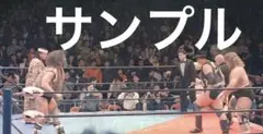 プロレス生写真　ハンセン・ゴディ　vs ブロディ・スヌーカ20枚1組