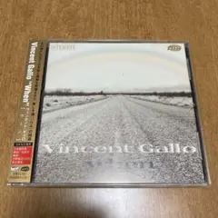 2025年最新】Vincent Gallo When LPの人気アイテム - メルカリ