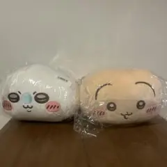 Item thumbnail for item caa6bac4-f6b1-4117-b525-2fc3e217d948