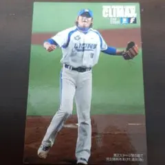 カルビー野球カード　涌井秀章 2009年CS-2