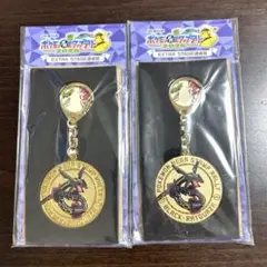JR東日本ポケモンスタンプラリー2025 黒いレックウザ スペシャルメダル2個