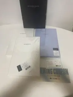 Item thumbnail for item 516c96c3-2c3d-4053-885a-cc764175af8d