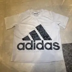 Item thumbnail for item 0284a800-e5a8-410f-8d1e-c60ddabf2bf2