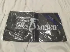 Item thumbnail for item 7186e737-e34a-444d-94e4-a74320b12add