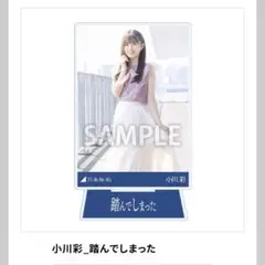 Item thumbnail for item 0c2b5619-e0d6-4a0c-9120-4afb3dc35a81
