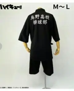 Item thumbnail for item 4f4fb02e-09c7-44d6-ad2b-4b25b8b7b03e