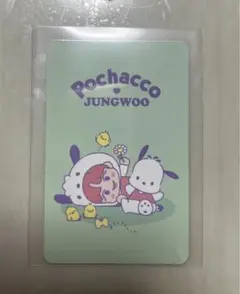 NCT×サンリオ ランダムトレカ ポチャッコ ジョンウ