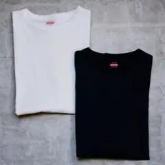 【美品】ヘルスニット クールネックTシャツ　25ss 2着セット 美品　白　黒