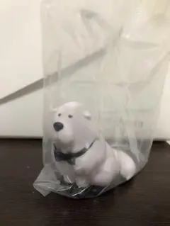 ちょこのっこ ボンド