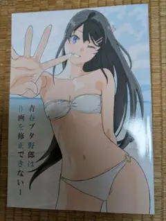 C106 コミケ106 青春ブタ野郎は作画を修正できない1 たむらみかん