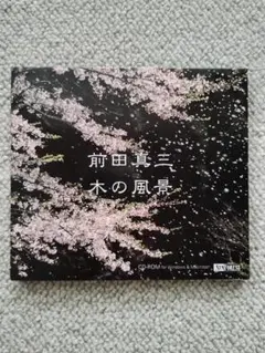 Item thumbnail for item 854d8953-1439-44bd-941c-b39dd1891fdf