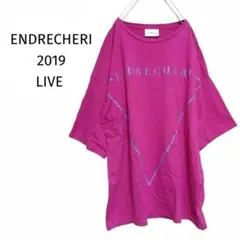 エンドリケリー ロゴTシャツ ライブTシャツ 堂本剛 パープル 男女兼用 F
