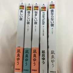 美しい彼シリーズ5巻セット
