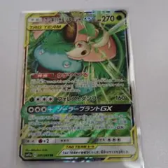 ポケモンカード　フシギバナ&ツタージャGX