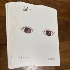 家庭保育園 絵カード 身体名称