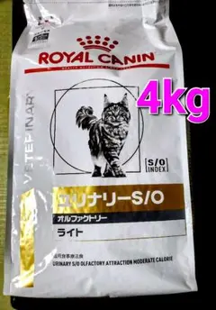Item thumbnail for item c3080c3d-a54c-4aec-81c1-f457f4772b90