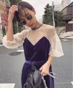 限定値下 TULLE SLEEVE TIGHT DRESS
