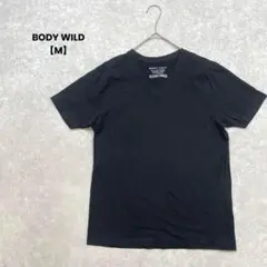 a2091＊グンゼ　BODY WILD 半袖Tシャツ　黒【M】シンプル　Ｖネック
