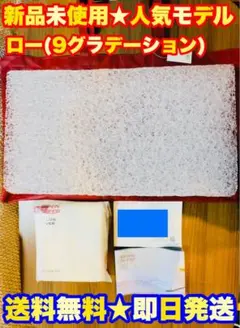 【新品★定価3万】BRAIN SLEEP PILLOW ブレインスリープピロー