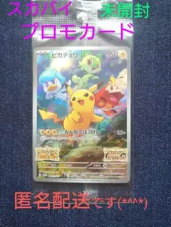 スカバイ ピカチュウ プロモカード 未開封